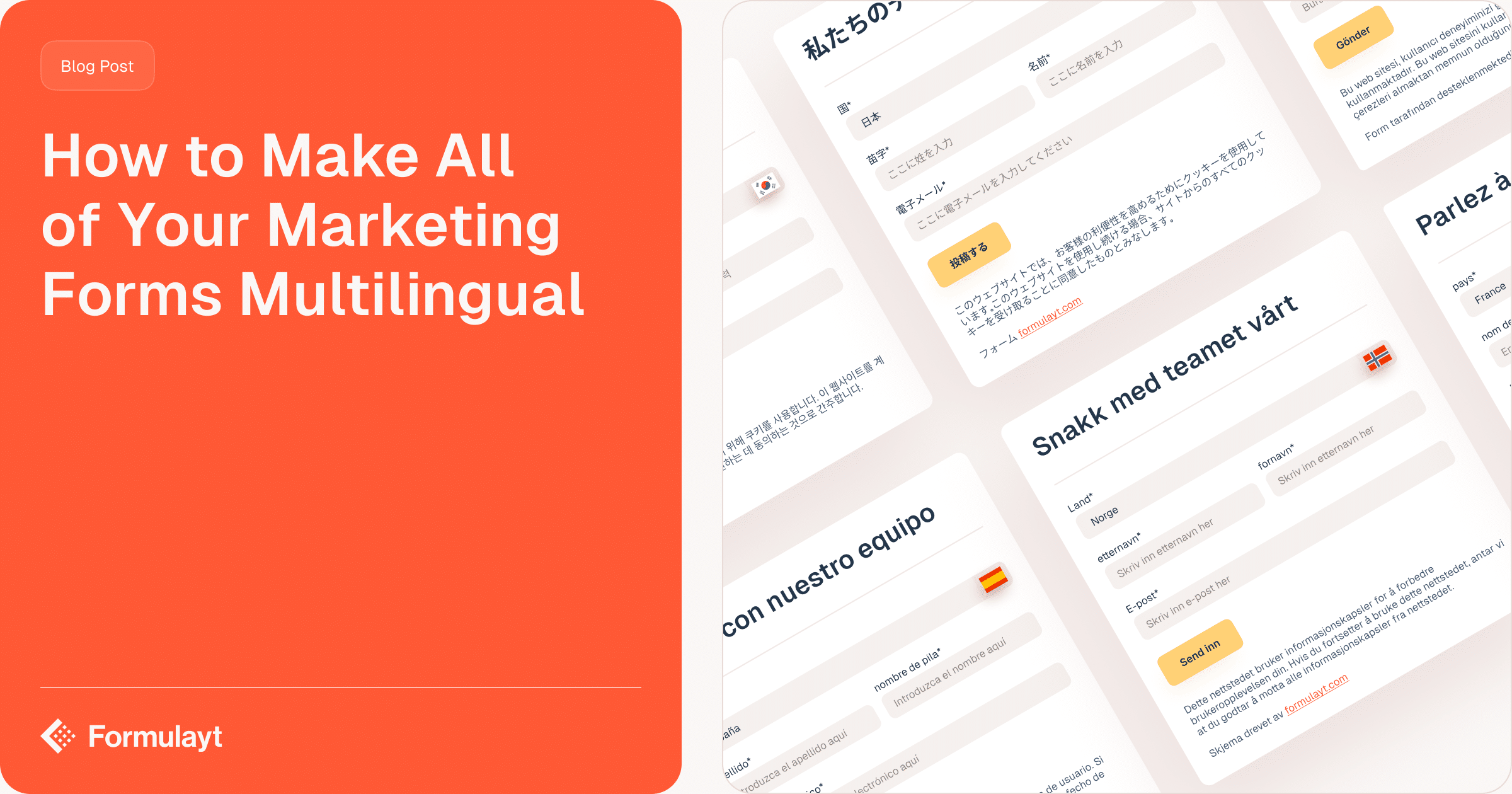 Multilingual Form Examples How to Manage Multilingual Marketing Forms Effectively